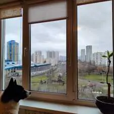 Картинка отзыва